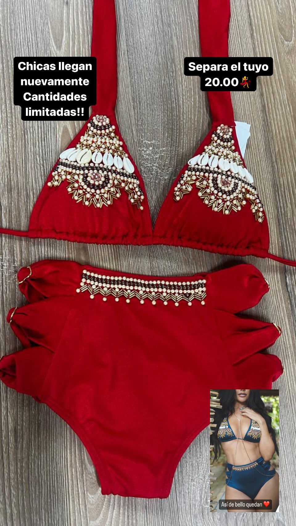 Luxury Red Seashells High Waisted